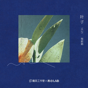 成人🍆🍑🔞猛撞在线观看
